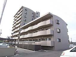 マーガレットＭIII 902