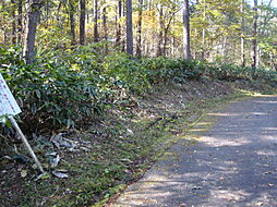 飯綱高原白樺別荘