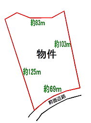 上水内郡飯綱町大字川上の土地