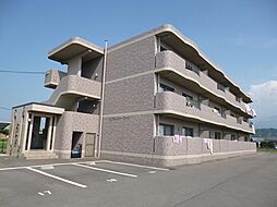 エクセレント・コーン