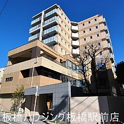 セルティスコート