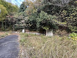 ノースウエストの風 7