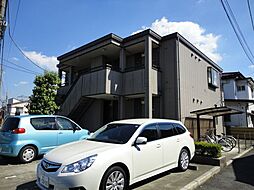 シャテロタガラ 205