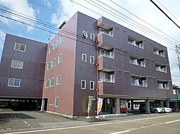 ビバリーヒルズ 227