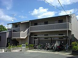 サンシャイン295 205