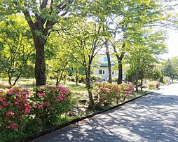 二本松市馬場平の土地