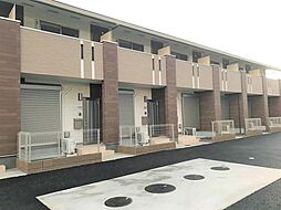 Pear Forest  ペア　フォレスト 101