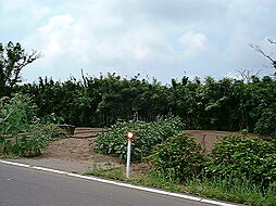 佐渡市八幡新町の土地