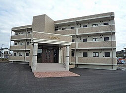 トレステーラ 303