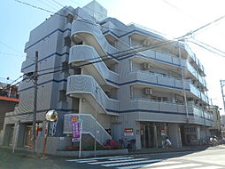 スターヒルズ 501