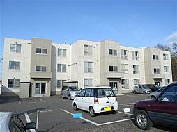 リバティ水芭蕉 303