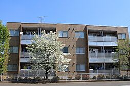CASA野火止 203