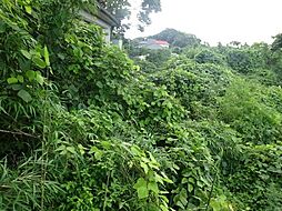 下田町　売土地