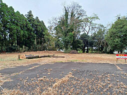 児湯郡川南町大字川南の土地