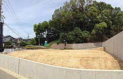 グリーンランド柄山 6号地