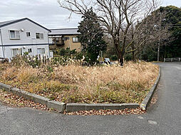 伊東市八幡野（すいらん荘）