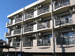 エクセレント緑 305