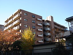 ライフステージ武蔵野 208