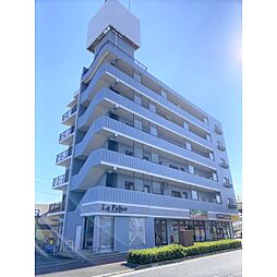 ラフェリーチェ. 503