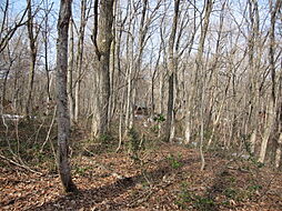 野尻高原大学村、土地714平米