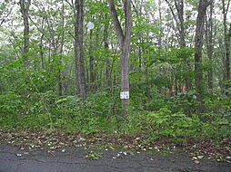 野尻湖グリーンタウン清明台