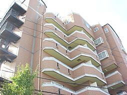 エターナルスライブ 501