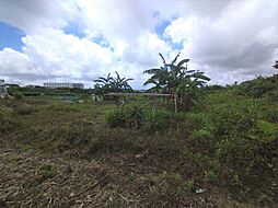 豊見城市根差部の土地