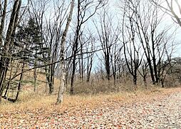 長野原町北軽井沢 売土地 1353-1010