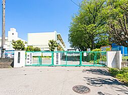 さいたま市西区大字指扇の土地