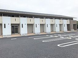 ダンデライオンB 102