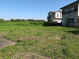 宮崎市田野町甲の土地