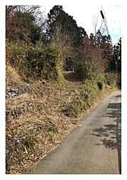 能勢町片山土地(山林)