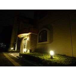 エレガンスライム 201