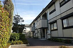 グレイスパル A201