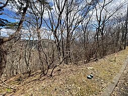 安達郡大玉村玉井字守谷山の土地