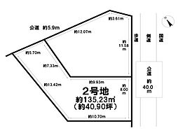 刈谷市野田町新上納の土地