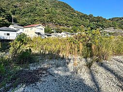 徳島市八万町中津山の土地