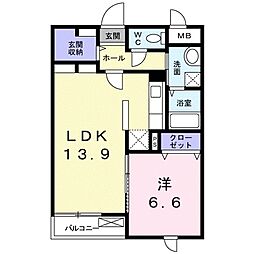 シーダーエース 204