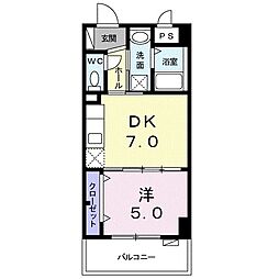 ルピナス 307