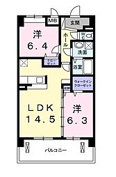 トラディシオン　トゥール 503