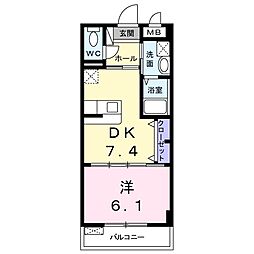 アカラ　ピリラニ 403