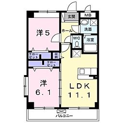 アカラ　ピリラニ 305