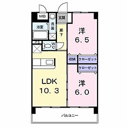 エヴァーグリーンＮ 813