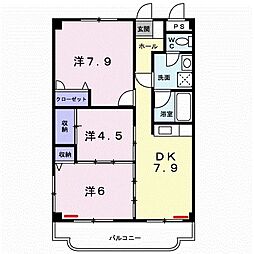 桜草 205