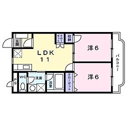 サンフラワー 205