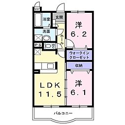 グラシオッソブローテ 310