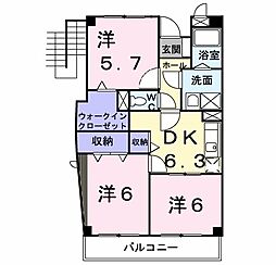フィールド・ワン 406