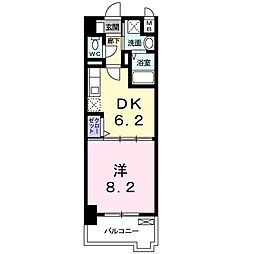 エヴァーグリーンＯ 205