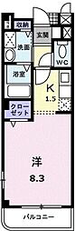 メゾン・ルミエール 205