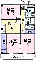 プレイスメゾン美輝 305